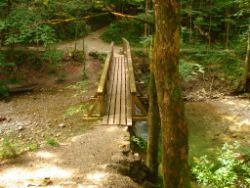 2013-07-20_Regina-F-Rau_Kochel-Rabenkopf (044).JPG
